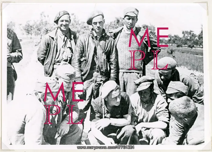 : Morris, Glyn- Evans, Davis, Wild, Cooney : Morris, Glyn- Evans, Davis, Wild, Cooney