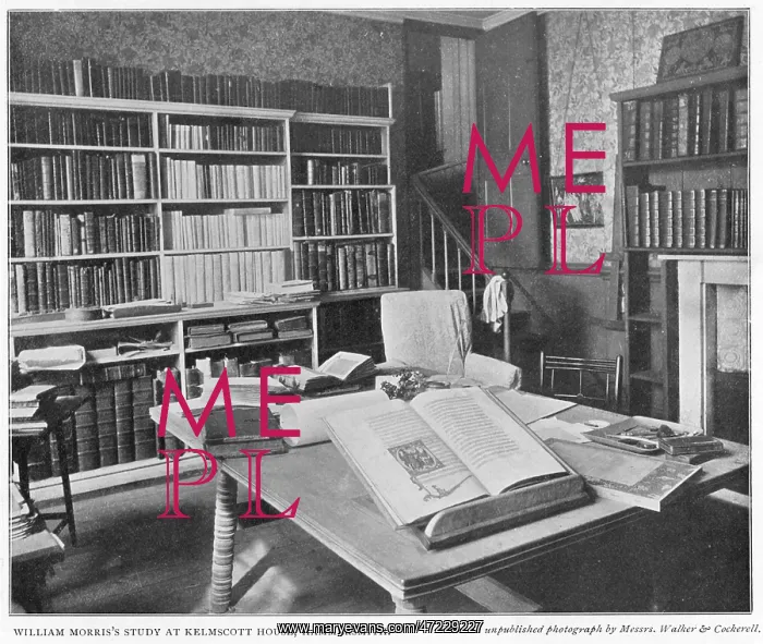 : MORRIS / KELMSCOTT STUDY : MORRIS / KELMSCOTT STUDY