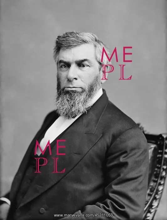 : Morrison Remick Waite (1816-1888), seventh ? : Morrison Remick Waite (1816-1888), seventh ?