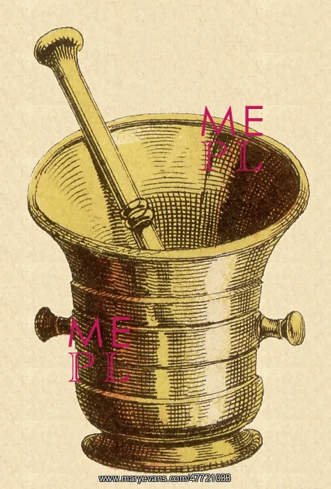: Mortar and Pestle : Mortar and Pestle