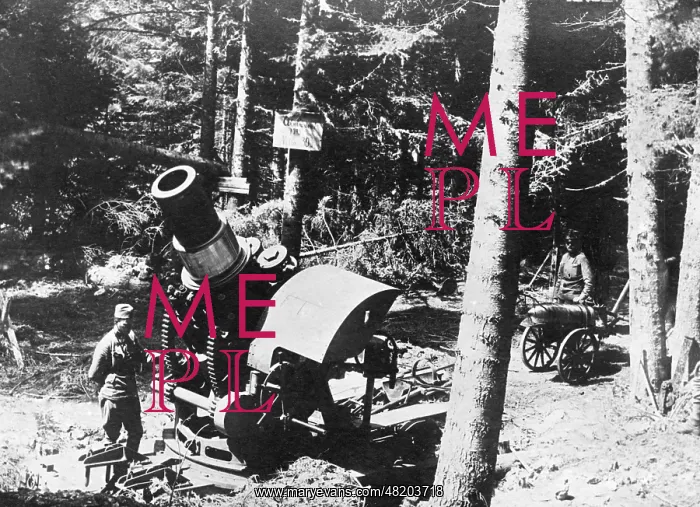 : A mortar in Tyrol, 1916 : A mortar in Tyrol, 1916