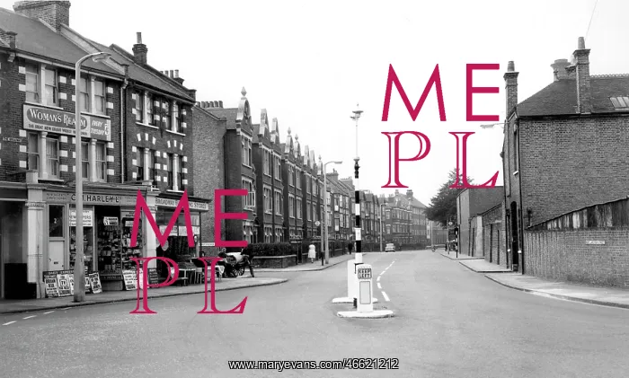  : Mortlake, High Street c1955