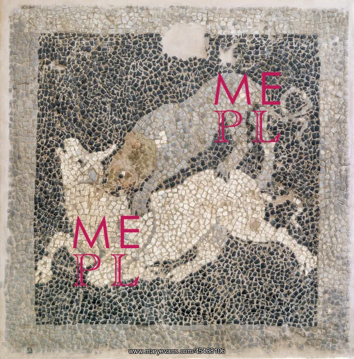 : Mosaic, Archaeological Museum of Sparta, Sparta, Laconia : Mosaic, Archaeological Museum of Sparta, Sparta, Laconia