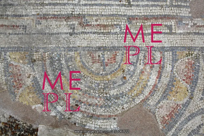 : Mosaic, Baths of Gallienus, Volubilis, Meknes-Tafilalet : Mosaic, Baths of Gallienus, Volubilis, Meknes-Tafilalet