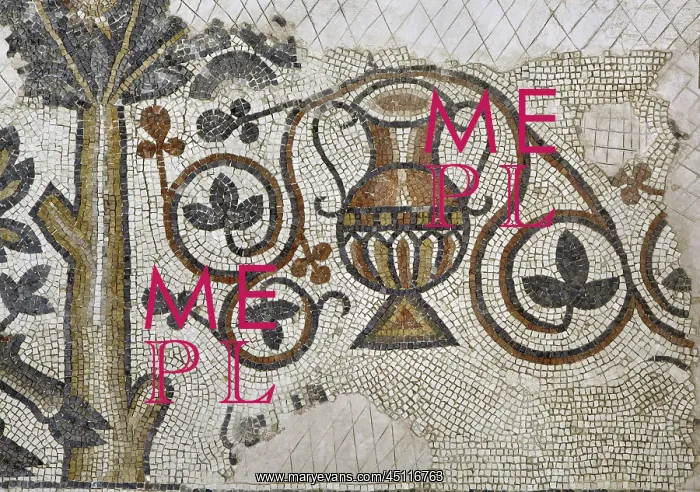 : Mosaic, Church of the Acropolis, Ma'in, Jordan : Mosaic, Church of the Acropolis, Ma'in, Jordan