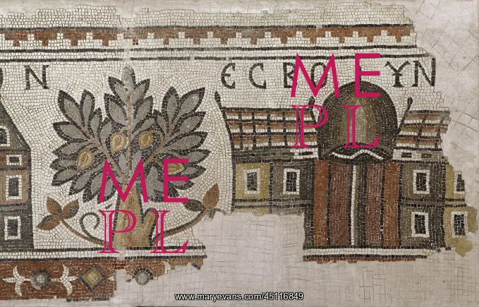  : Mosaic, Church of the Acropolis, Ma'in, Jordan