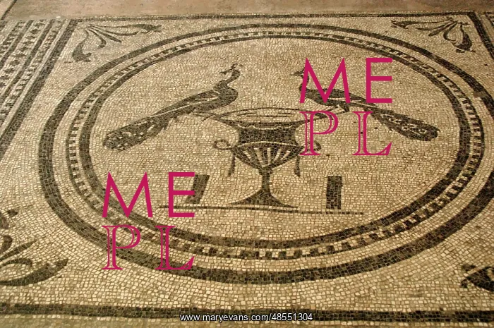  : Mosaic depicting two peacocks on a vase