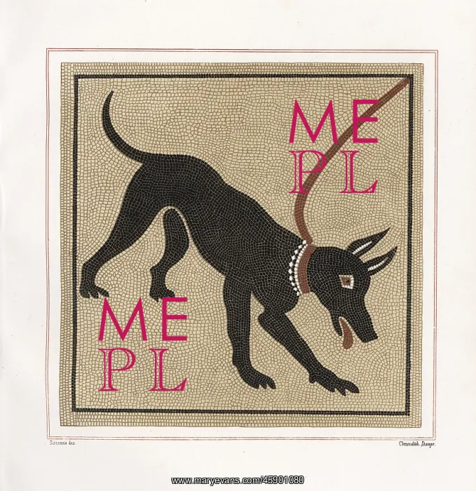 : Mosaic of a dog from the porter's threshold : Mosaic of a dog from the porter's threshold