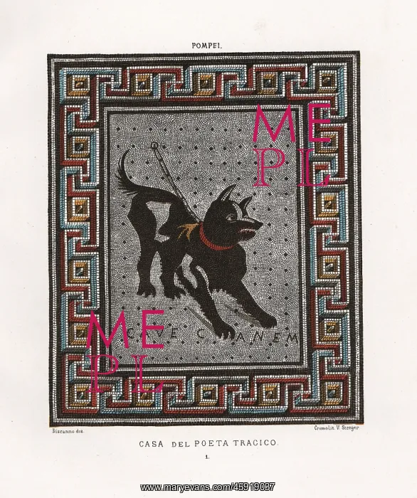 : Mosaic of a guard dog on a chain from the : Mosaic of a guard dog on a chain from the