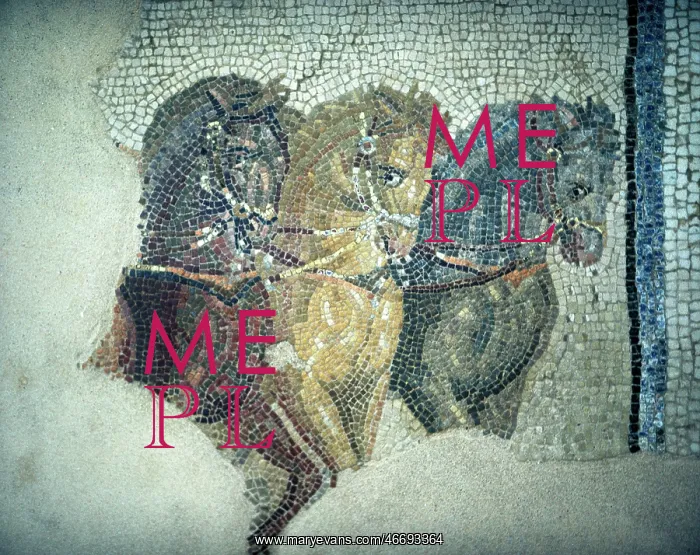 : Mosaic of horses : Mosaic of horses