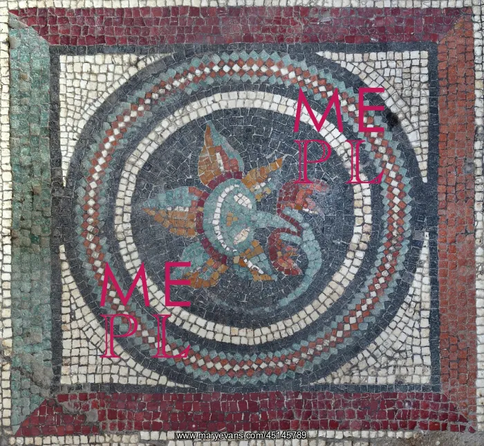 : Mosaic medallion, House of the Cryptoporticus : Mosaic medallion, House of the Cryptoporticus