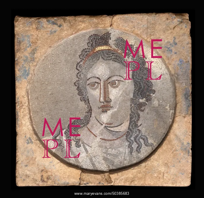 : Mosaic, Museo Arqueologico Nacional, Tarragona, Catalonia, Spain : Mosaic, Museo Arqueologico Nacional, Tarragona, Catalonia, Spain