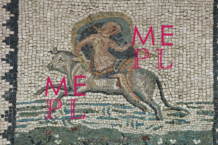 : Mosaic, Museo Nacional de Arte Romano, Merida, Extremadura : Mosaic, Museo Nacional de Arte Romano, Merida, Extremadura