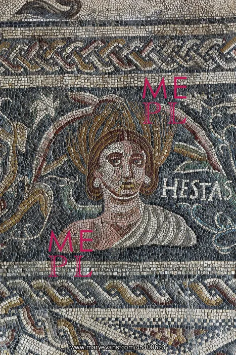 : Mosaic, Museo Nacional de Arte Romano, Merida, Extremadura : Mosaic, Museo Nacional de Arte Romano, Merida, Extremadura