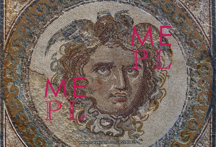 : Mosaic, Museu Nacional Arqueologic de Tarragona, Spain : Mosaic, Museu Nacional Arqueologic de Tarragona, Spain