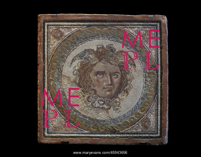 : Mosaic, Museu Nacional Arqueologic de Tarragona, Spain : Mosaic, Museu Nacional Arqueologic de Tarragona, Spain