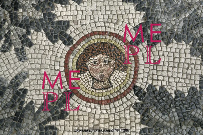 : Mosaic, Museum of Madaba, Jordan : Mosaic, Museum of Madaba, Jordan