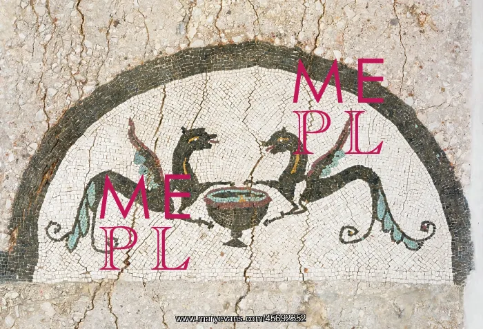 : Mosaic, Narbo Via museum, Narbonne : Mosaic, Narbo Via museum, Narbonne
