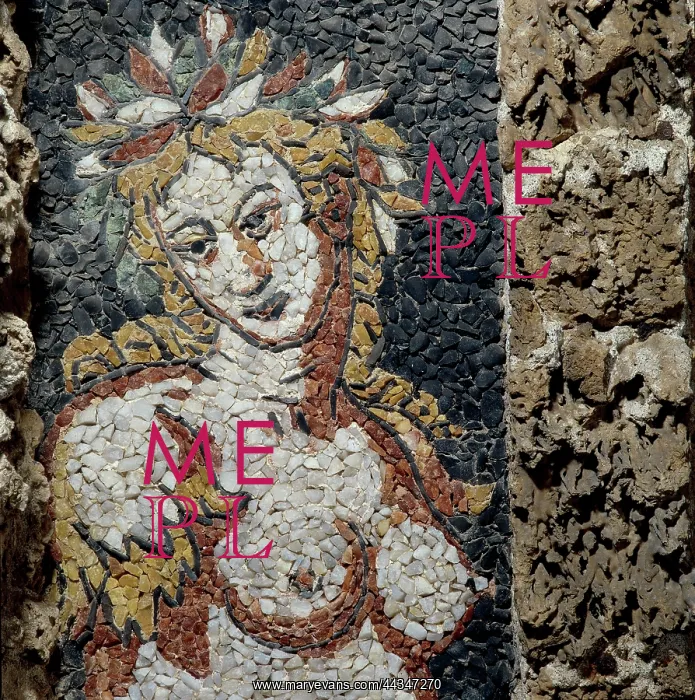 : Detail of the mosaic ornamentation : Detail of the mosaic ornamentation