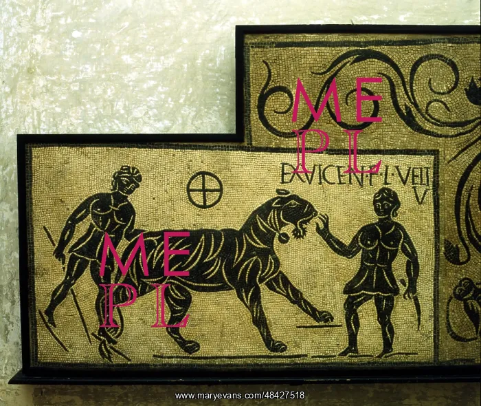 : Mosaic with Tiger and Gladiators. 2nd centuryAD : Mosaic with Tiger and Gladiators. 2nd centuryAD
