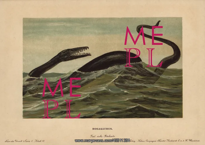 : Mosasaur, Mosasaurus hoffmannii, extinct genus : Mosasaur, Mosasaurus hoffmannii, extinct genus