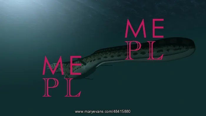 : Mosasaur swimming in prehistoric waters : Mosasaur swimming in prehistoric waters