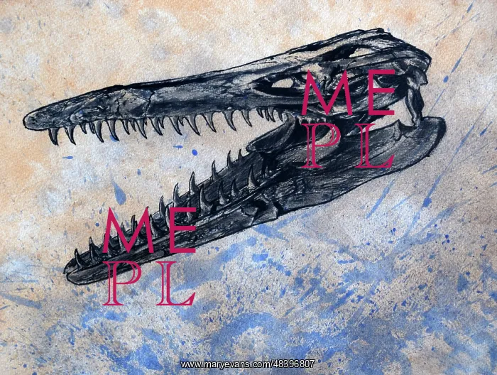 : Mosasaurus dinosaur skull : Mosasaurus dinosaur skull