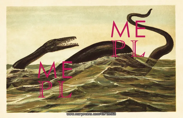  : Mosasaurus hoffmannii, extinct aquatic reptile