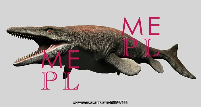 : Mosasaurus isolated on white background : Mosasaurus isolated on white background