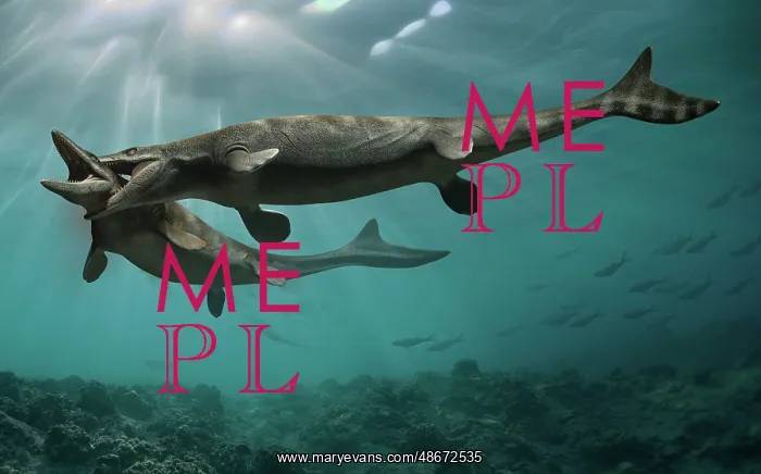 : Two Mosasaurus reptiles fighting each other to : Two Mosasaurus reptiles fighting each other to