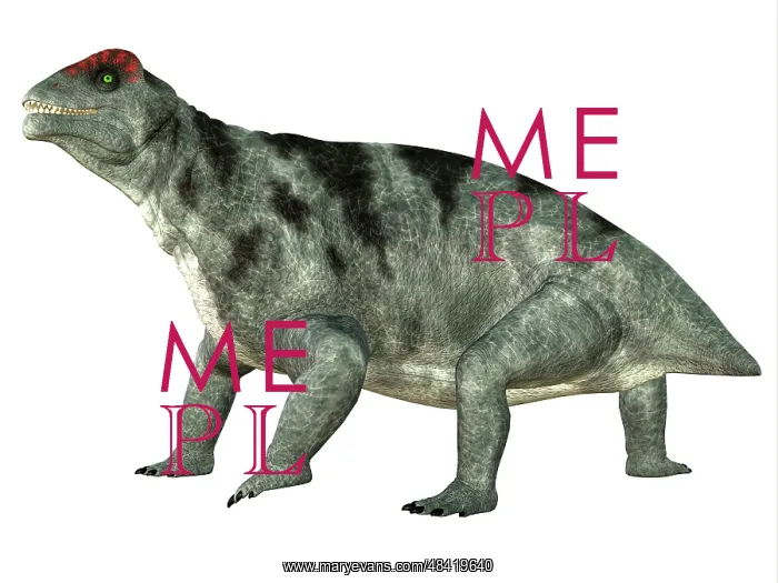  : Moschops dinosaur, white background