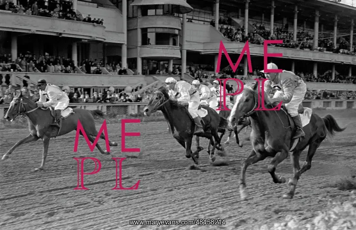 : Moscow central race track : Moscow central race track