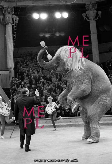 : Moscow circus, 1969 : Moscow circus, 1969