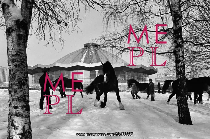 : Moscow Circus on Lenin hills : Moscow Circus on Lenin hills