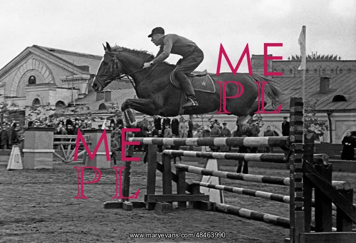 : Moscow Cup Equestrian Championships : Moscow Cup Equestrian Championships
