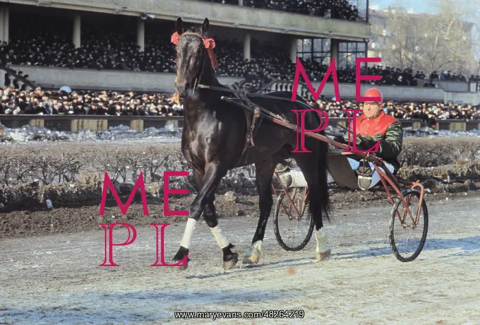 : Moscow racecourse, 1972 : Moscow racecourse, 1972