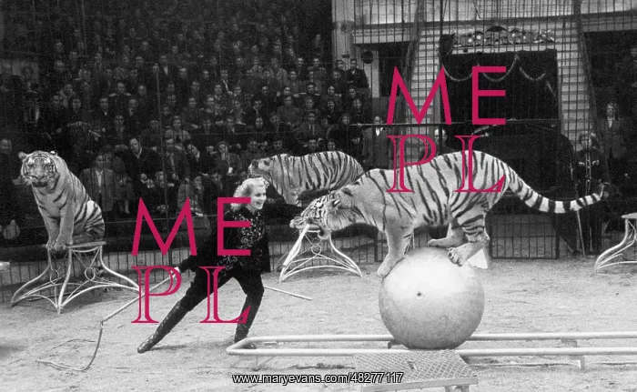 : Moscow State Circus : Moscow State Circus