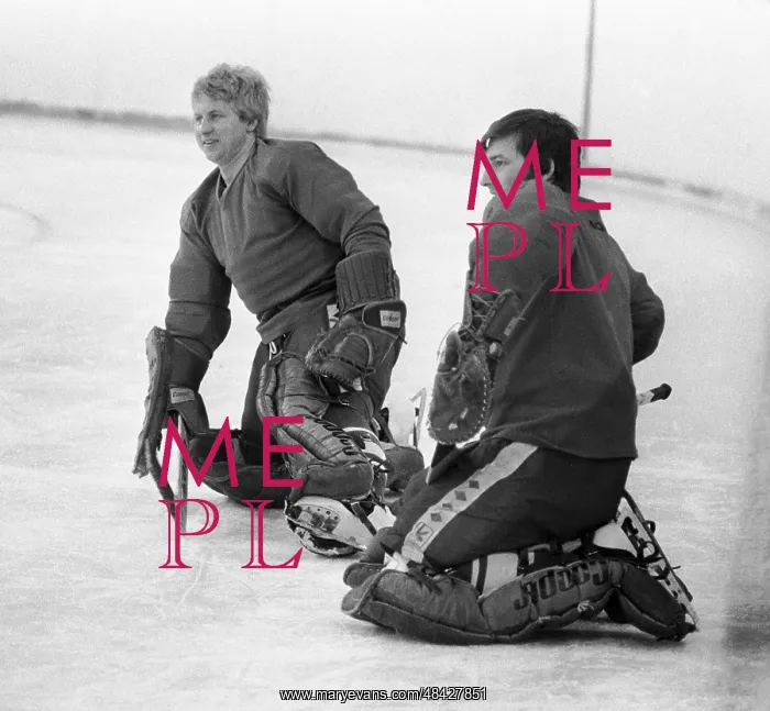 : Moscow, USSR. Soviet national ice : Moscow, USSR. Soviet national ice