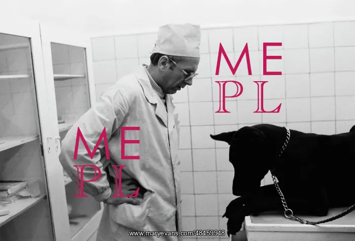 : Moscow veterinary clinic : Moscow veterinary clinic