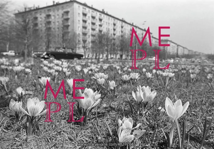 : Moscow views, 1981 : Moscow views, 1981