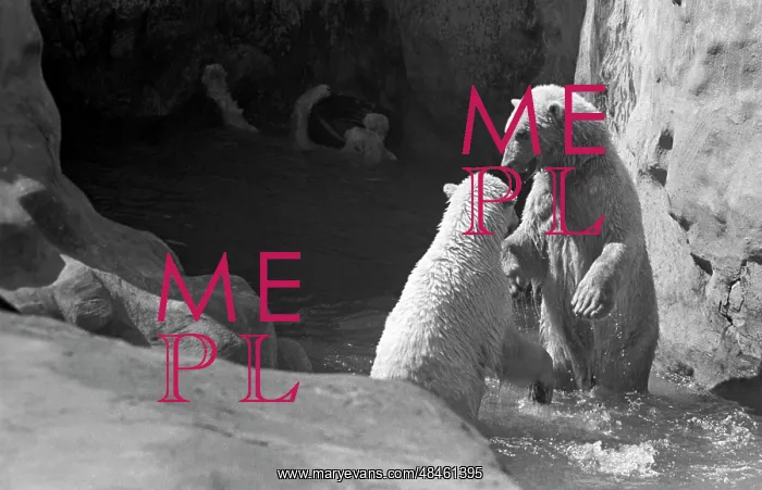 : Moscow Zoo, 1968 : Moscow Zoo, 1968