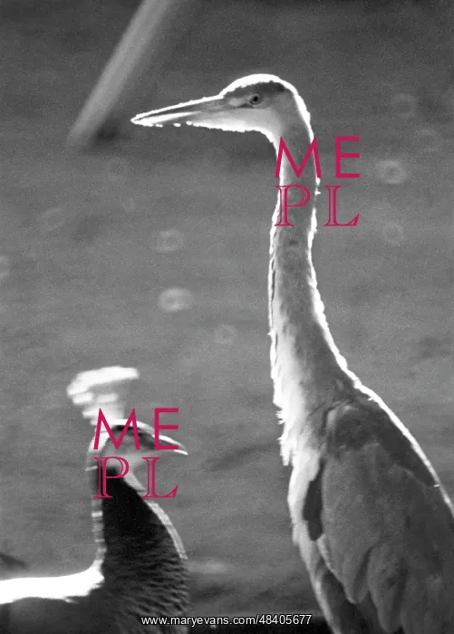 : Moscow Zoo, 1970 : Moscow Zoo, 1970