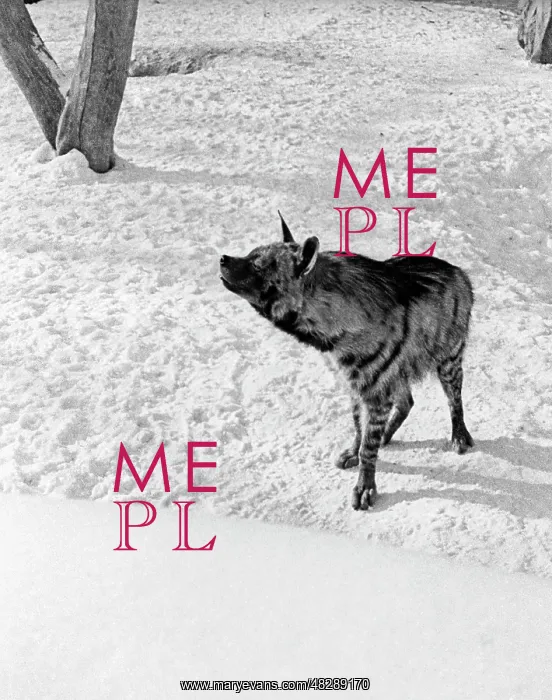 : Moscow Zoo, 1978 : Moscow Zoo, 1978