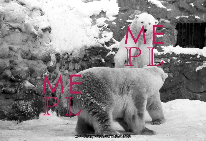 : Moscow Zoo, 1982 : Moscow Zoo, 1982