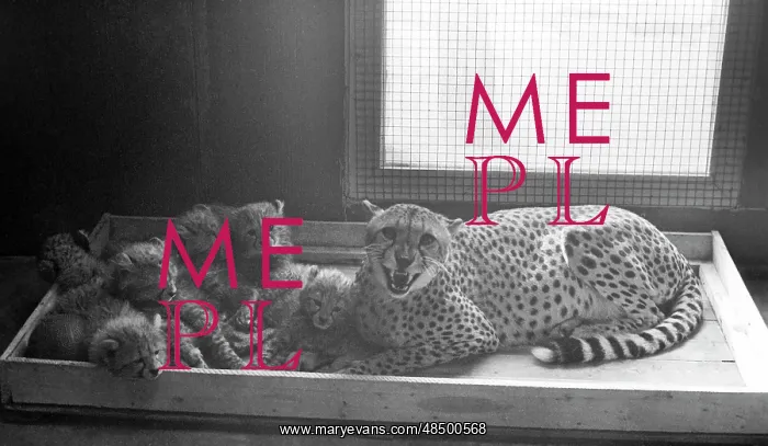 : Moscow Zoo, 1982 : Moscow Zoo, 1982