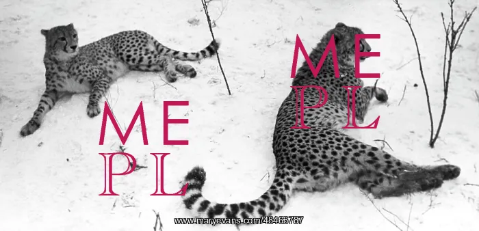: Moscow Zoo, 1983 : Moscow Zoo, 1983