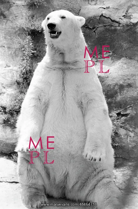: Moscow Zoo, 1983 : Moscow Zoo, 1983