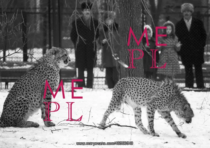 : Moscow Zoo, 1983 : Moscow Zoo, 1983