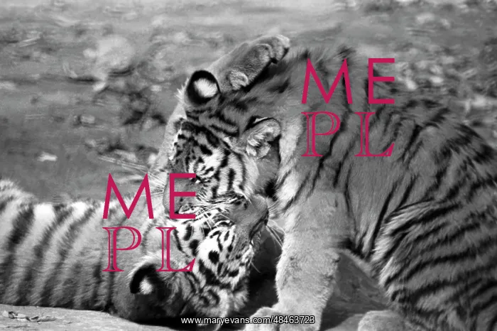 : Moscow Zoo, 1985 : Moscow Zoo, 1985