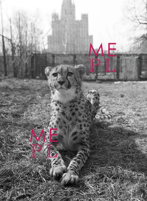 : Moscow Zoo, 1987 : Moscow Zoo, 1987